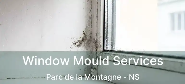  Window Mould Services Parc de la Montagne - NS