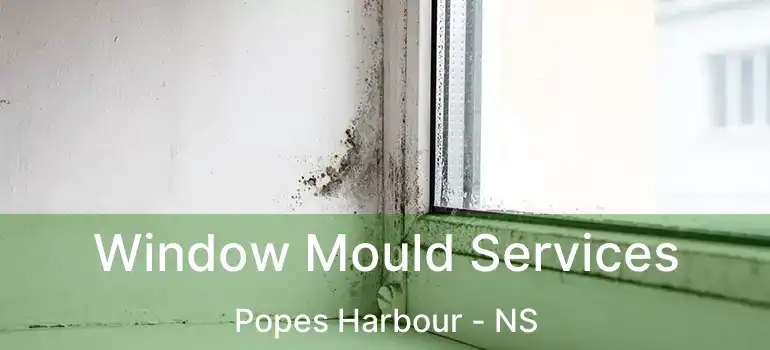  Window Mould Services Popes Harbour - NS