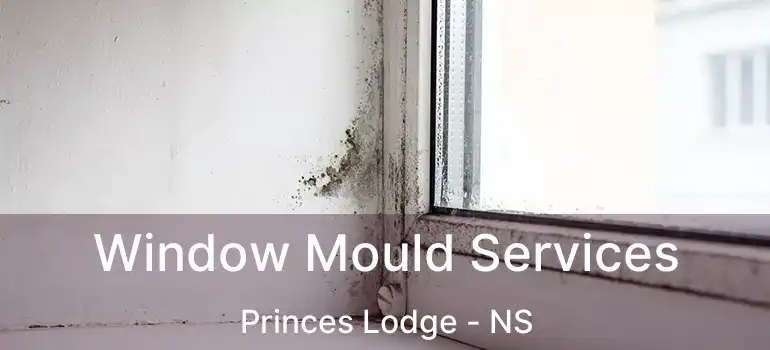  Window Mould Services Princes Lodge - NS