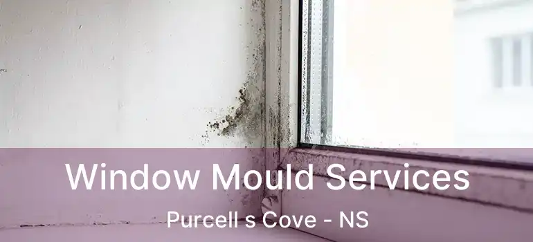  Window Mould Services Purcell s Cove - NS