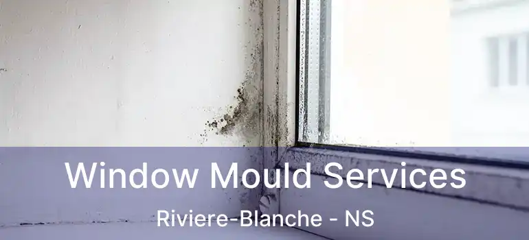  Window Mould Services Riviere-Blanche - NS