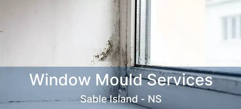  Window Mould Services Sable Island - NS