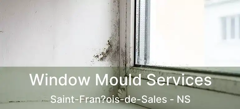  Window Mould Services Saint-Fran?ois-de-Sales - NS