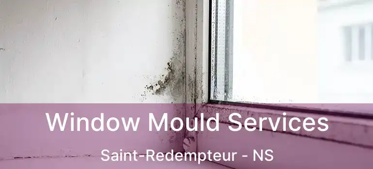  Window Mould Services Saint-Redempteur - NS