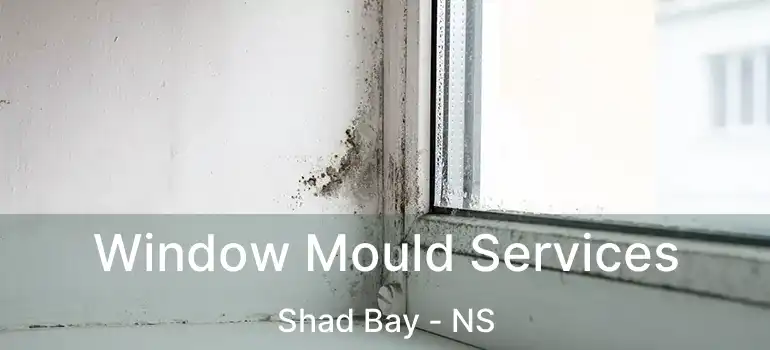  Window Mould Services Shad Bay - NS