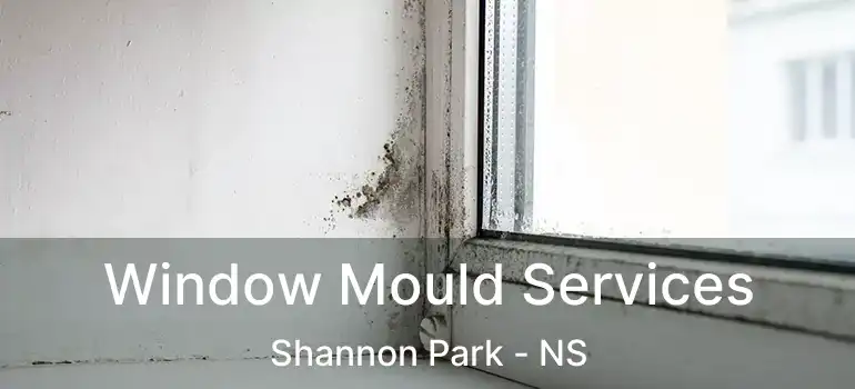  Window Mould Services Shannon Park - NS