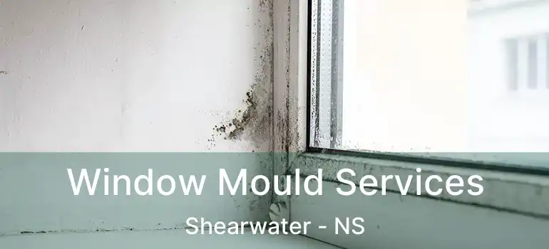  Window Mould Services Shearwater - NS