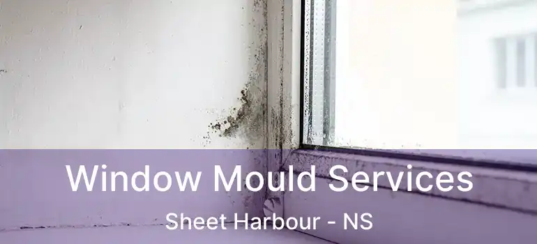  Window Mould Services Sheet Harbour - NS