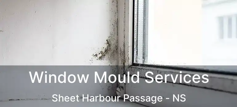  Window Mould Services Sheet Harbour Passage - NS