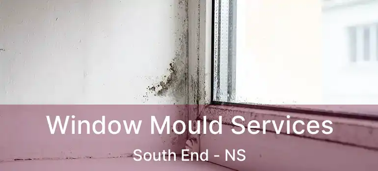  Window Mould Services South End - NS