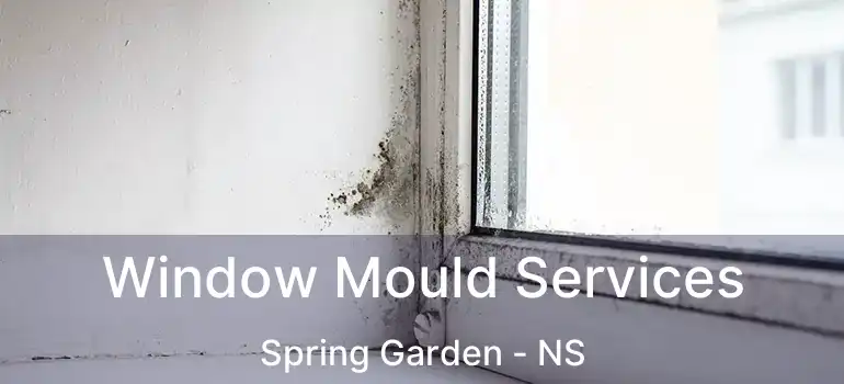  Window Mould Services Spring Garden - NS