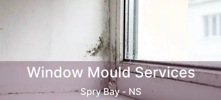  Window Mould Services Spry Bay - NS