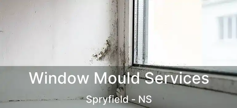  Window Mould Services Spryfield - NS