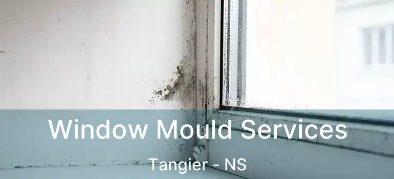  Window Mould Services Tangier - NS