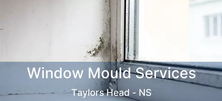  Window Mould Services Taylors Head - NS