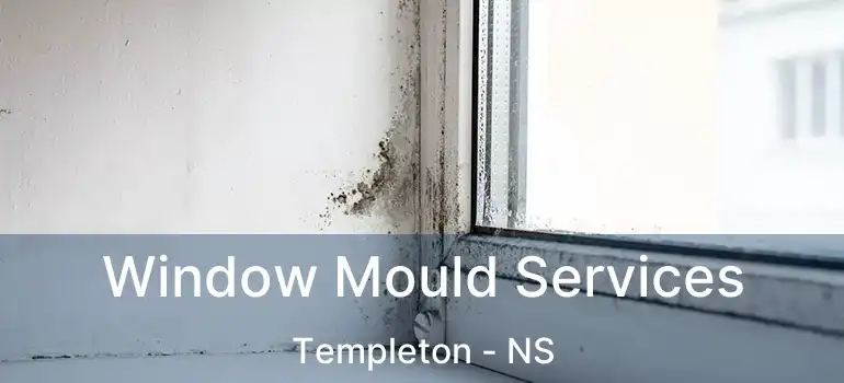  Window Mould Services Templeton - NS