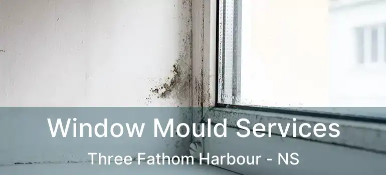  Window Mould Services Three Fathom Harbour - NS