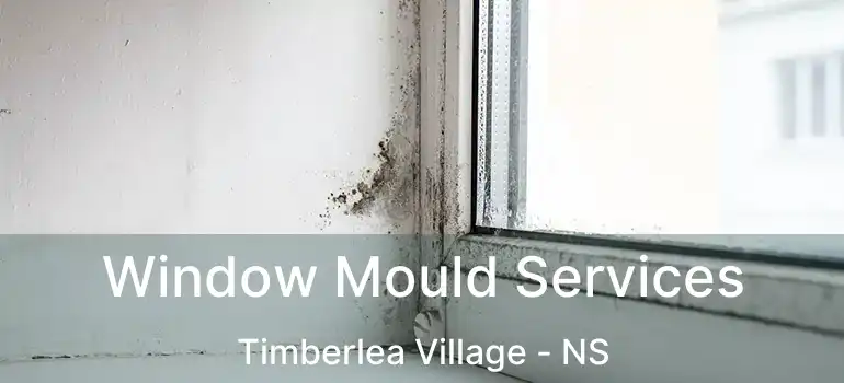  Window Mould Services Timberlea Village - NS