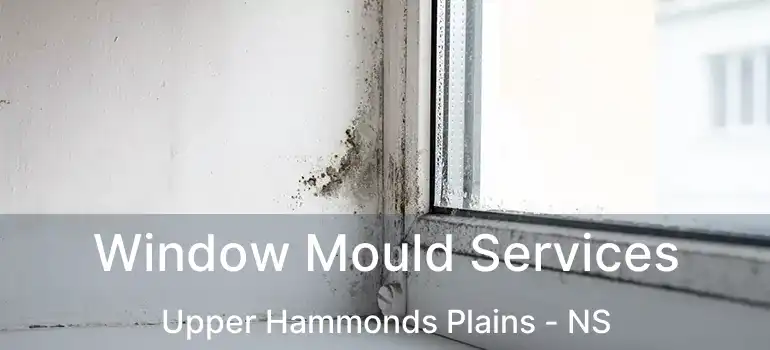  Window Mould Services Upper Hammonds Plains - NS