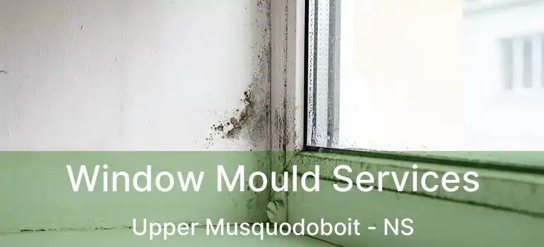  Window Mould Services Upper Musquodoboit - NS