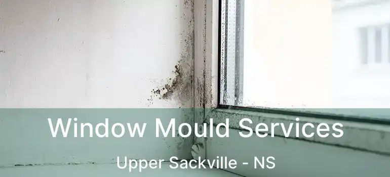  Window Mould Services Upper Sackville - NS