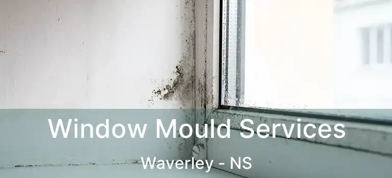  Window Mould Services Waverley - NS