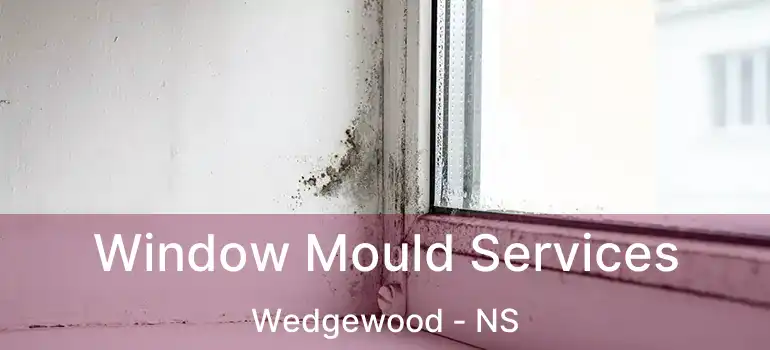  Window Mould Services Wedgewood - NS