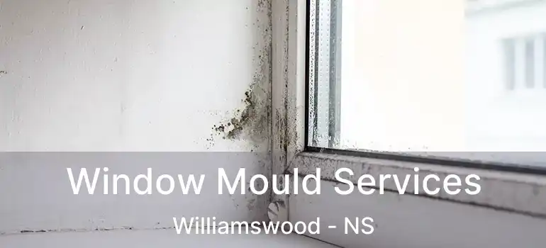  Window Mould Services Williamswood - NS