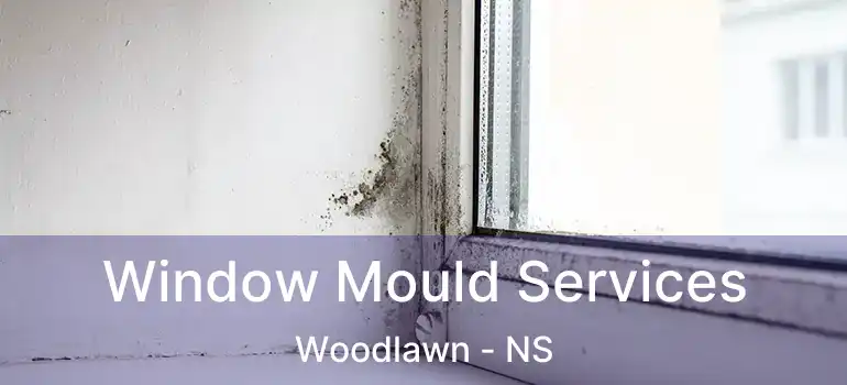  Window Mould Services Woodlawn - NS