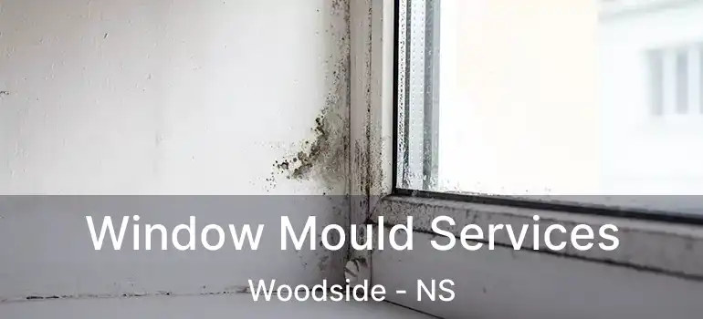  Window Mould Services Woodside - NS