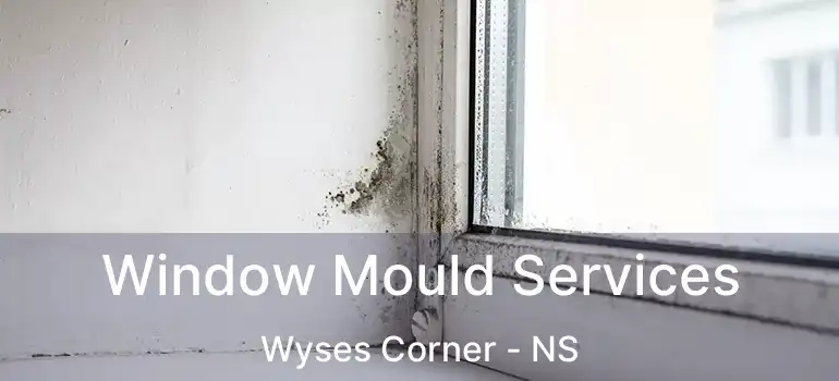  Window Mould Services Wyses Corner - NS