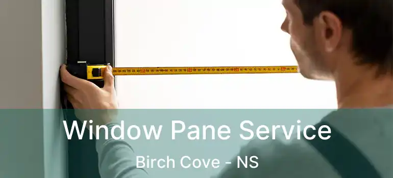  Window Pane Service Birch Cove - NS