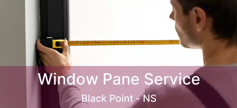  Window Pane Service Black Point - NS