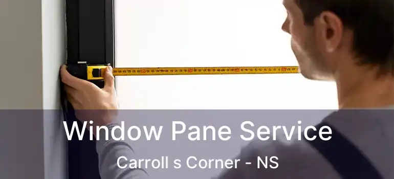  Window Pane Service Carroll s Corner - NS