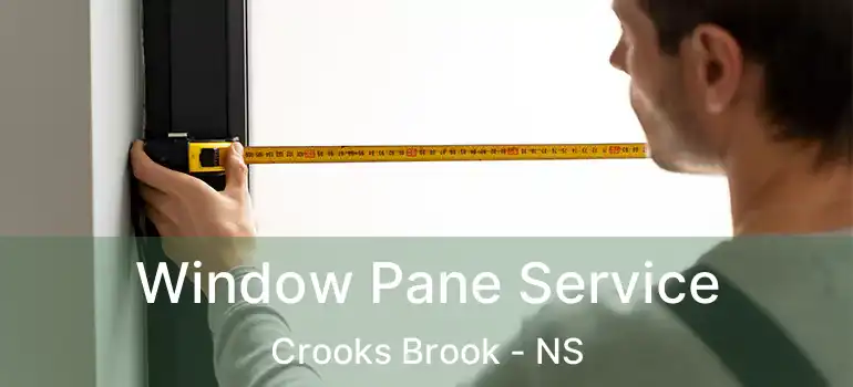  Window Pane Service Crooks Brook - NS