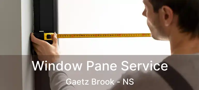  Window Pane Service Gaetz Brook - NS