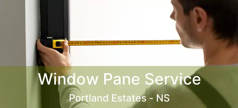  Window Pane Service Portland Estates - NS