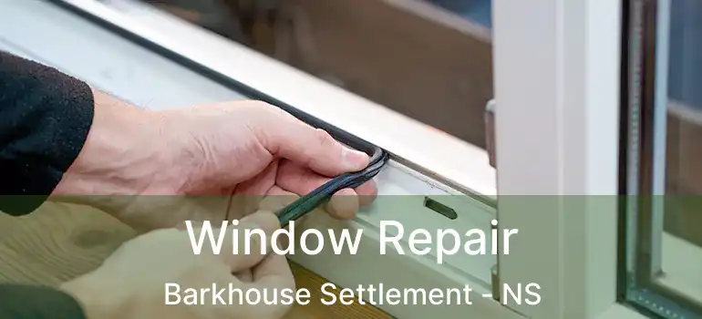  Window Repair Barkhouse Settlement - NS