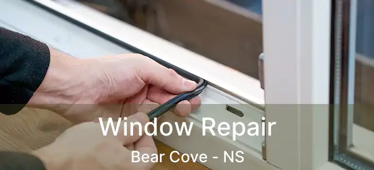  Window Repair Bear Cove - NS