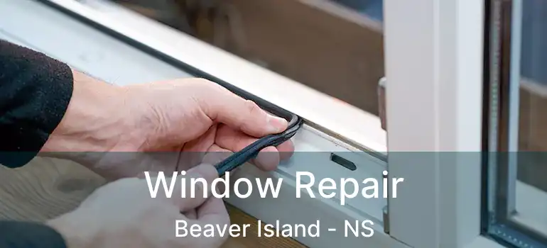  Window Repair Beaver Island - NS