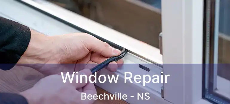  Window Repair Beechville - NS