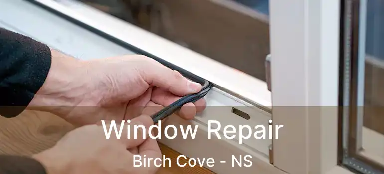  Window Repair Birch Cove - NS