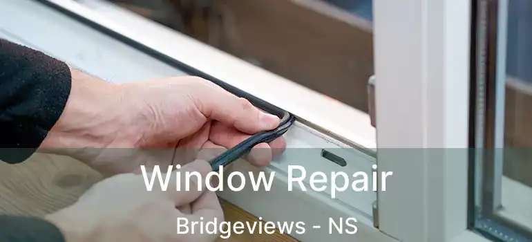  Window Repair Bridgeviews - NS