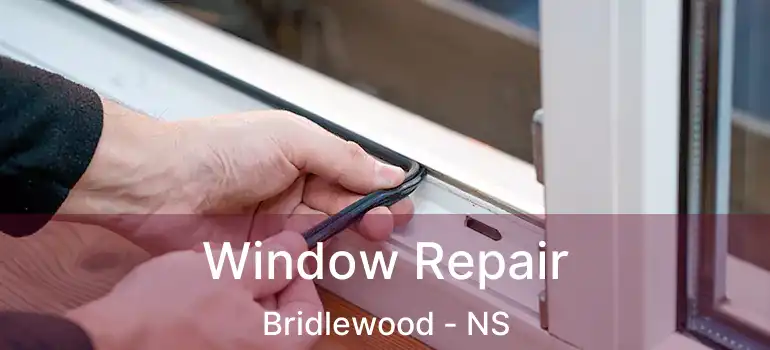  Window Repair Bridlewood - NS