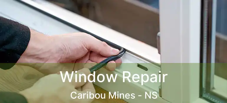  Window Repair Caribou Mines - NS