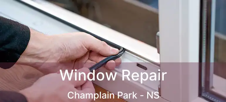  Window Repair Champlain Park - NS