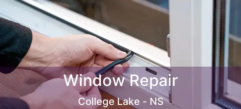  Window Repair College Lake - NS