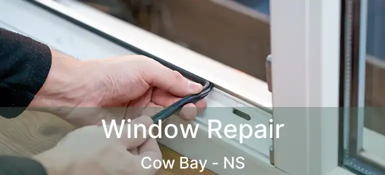  Window Repair Cow Bay - NS