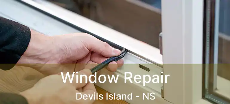  Window Repair Devils Island - NS