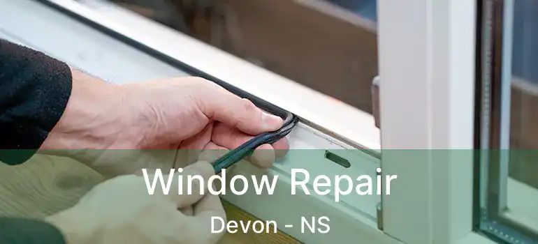  Window Repair Devon - NS